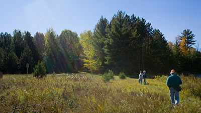 A walk in the fields