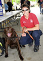 Search and rescue dog and handler