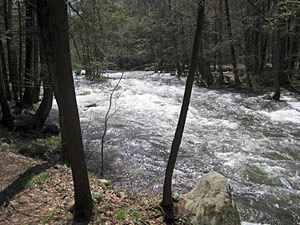 Spring time stream